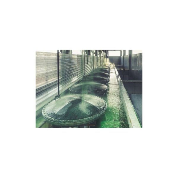 Chlorella Tabletten Farm